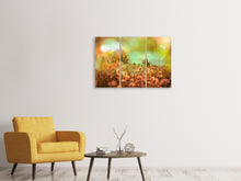 Laden Sie das Bild in den Galerie-Viewer, Leinwandbild 3-teilig Blumenwiese in der Abenddämmerung