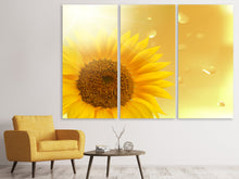 Laden Sie das Bild in den Galerie-Viewer, Leinwandbild 3-teilig Sonnenblume im Morgentau