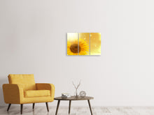 Laden Sie das Bild in den Galerie-Viewer, Leinwandbild 3-teilig Sonnenblume im Morgentau