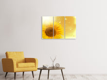 Laden Sie das Bild in den Galerie-Viewer, Leinwandbild 3-teilig Sonnenblume im Morgentau