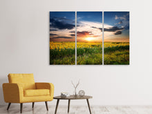 Laden Sie das Bild in den Galerie-Viewer, Leinwandbild 3-teilig Ein Feld von Sonnenblumen