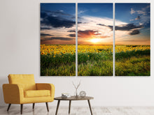 Laden Sie das Bild in den Galerie-Viewer, Leinwandbild 3-teilig Ein Feld von Sonnenblumen
