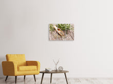 Laden Sie das Bild in den Galerie-Viewer, Leinwandbild 3-teilig Rosmarin