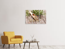 Laden Sie das Bild in den Galerie-Viewer, Leinwandbild 3-teilig Rosmarin