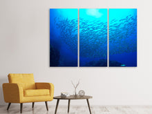 Laden Sie das Bild in den Galerie-Viewer, Leinwandbild 3-teilig Fischwelt