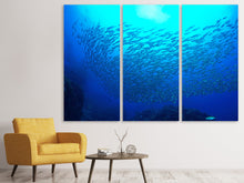 Laden Sie das Bild in den Galerie-Viewer, Leinwandbild 3-teilig Fischwelt