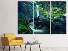 Laden Sie das Bild in den Galerie-Viewer, Leinwandbild 3-teilig Natur