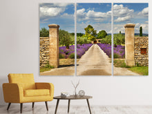 Laden Sie das Bild in den Galerie-Viewer, Leinwandbild 3-teilig Lavendel-Garten