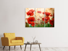 Laden Sie das Bild in den Galerie-Viewer, Leinwandbild 3-teilig Der Klatschmohn
