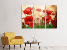 Laden Sie das Bild in den Galerie-Viewer, Leinwandbild 3-teilig Der Klatschmohn