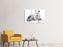 Laden Sie das Bild in den Galerie-Viewer, Leinwandbild 3-teilig Der Wolf