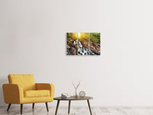 Laden Sie das Bild in den Galerie-Viewer, Leinwandbild 3-teilig Naturschönheit