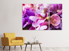 Laden Sie das Bild in den Galerie-Viewer, Leinwandbild 3-teilig Im Orchideenparadies