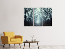 Laden Sie das Bild in den Galerie-Viewer, Leinwandbild 3-teilig Nebelwald