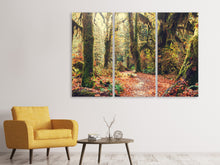 Laden Sie das Bild in den Galerie-Viewer, Leinwandbild 3-teilig Feenwald