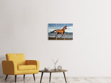 Laden Sie das Bild in den Galerie-Viewer, Leinwandbild 3-teilig Ein Vollblutpferd am Meer