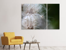 Laden Sie das Bild in den Galerie-Viewer, Leinwandbild 3-teilig Close up Blütenfasern