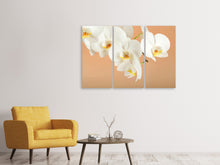 Laden Sie das Bild in den Galerie-Viewer, Leinwandbild 3-teilig Weisse Orchideenblüten