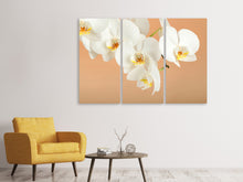 Laden Sie das Bild in den Galerie-Viewer, Leinwandbild 3-teilig Weisse Orchideenblüten