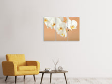 Laden Sie das Bild in den Galerie-Viewer, Leinwandbild 3-teilig Weisse Orchideenblüten