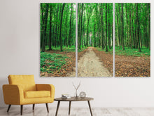 Laden Sie das Bild in den Galerie-Viewer, Leinwandbild 3-teilig Tannenwald