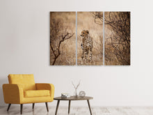 Laden Sie das Bild in den Galerie-Viewer, Leinwandbild 3-teilig Eleganter Gepard