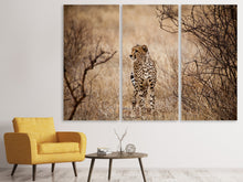 Laden Sie das Bild in den Galerie-Viewer, Leinwandbild 3-teilig Eleganter Gepard