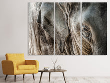 Laden Sie das Bild in den Galerie-Viewer, Leinwandbild 3-teilig Close Up Elefant