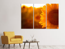 Laden Sie das Bild in den Galerie-Viewer, Leinwandbild 3-teilig Macro-Sonnenblume
