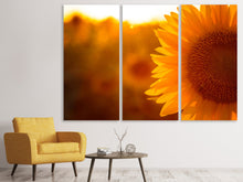 Laden Sie das Bild in den Galerie-Viewer, Leinwandbild 3-teilig Macro-Sonnenblume