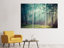 Laden Sie das Bild in den Galerie-Viewer, Leinwandbild 3-teilig Pinienwald