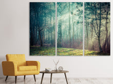 Laden Sie das Bild in den Galerie-Viewer, Leinwandbild 3-teilig Pinienwald