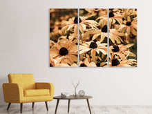 Laden Sie das Bild in den Galerie-Viewer, Leinwandbild 3-teilig Margeriten in Sepia