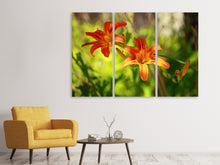 Laden Sie das Bild in den Galerie-Viewer, Leinwandbild 3-teilig Lilien in der Natur