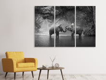 Laden Sie das Bild in den Galerie-Viewer, Leinwandbild 3-teilig Zwei Elefanten