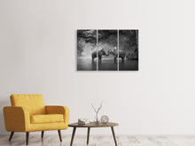 Laden Sie das Bild in den Galerie-Viewer, Leinwandbild 3-teilig Zwei Elefanten