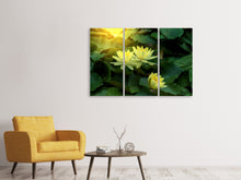 Laden Sie das Bild in den Galerie-Viewer, Leinwandbild 3-teilig Wilde Lotus