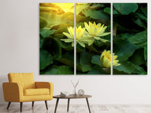 Laden Sie das Bild in den Galerie-Viewer, Leinwandbild 3-teilig Wilde Lotus