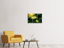 Laden Sie das Bild in den Galerie-Viewer, Leinwandbild 3-teilig Wilde Lotus