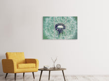 Laden Sie das Bild in den Galerie-Viewer, Leinwandbild 3-teilig Close Up Pusteblume