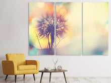Laden Sie das Bild in den Galerie-Viewer, Leinwandbild 3-teilig Die Pusteblume im Licht