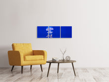 Laden Sie das Bild in den Galerie-Viewer, Panorama Leinwandbild 3-teilig Leuchtende Qualle