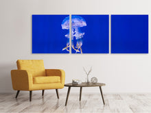 Laden Sie das Bild in den Galerie-Viewer, Panorama Leinwandbild 3-teilig Leuchtende Qualle