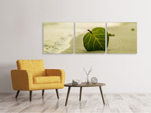 Laden Sie das Bild in den Galerie-Viewer, Panorama Leinwandbild 3-teilig Strand-Blatt