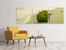 Laden Sie das Bild in den Galerie-Viewer, Panorama Leinwandbild 3-teilig Strand-Blatt