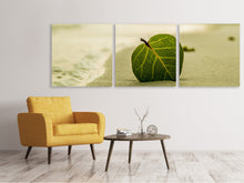 Laden Sie das Bild in den Galerie-Viewer, Panorama Leinwandbild 3-teilig Strand-Blatt