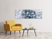 Laden Sie das Bild in den Galerie-Viewer, Panorama Leinwandbild 3-teilig Reifer Löwenzahn Close up