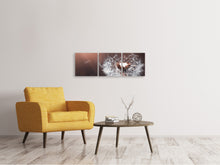 Laden Sie das Bild in den Galerie-Viewer, Panorama Leinwandbild 3-teilig Pusteblume im Abendlicht