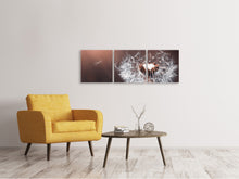 Laden Sie das Bild in den Galerie-Viewer, Panorama Leinwandbild 3-teilig Pusteblume im Abendlicht