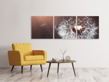 Laden Sie das Bild in den Galerie-Viewer, Panorama Leinwandbild 3-teilig Pusteblume im Abendlicht